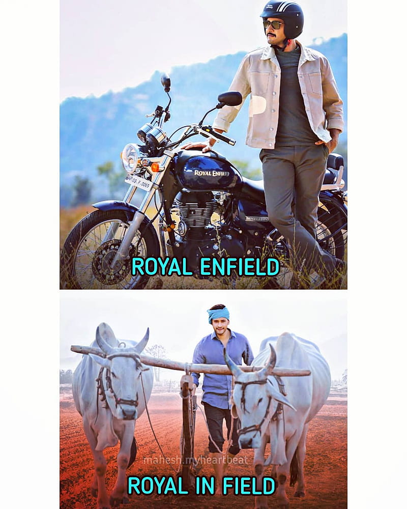 Royal Enfield - Where did you ride to this weekend? Let us know in the  comments below. #RoyalEnfieldClassic #Classic350 #RoyalEnfield #RidePure  #PureMotorcycling | Facebook