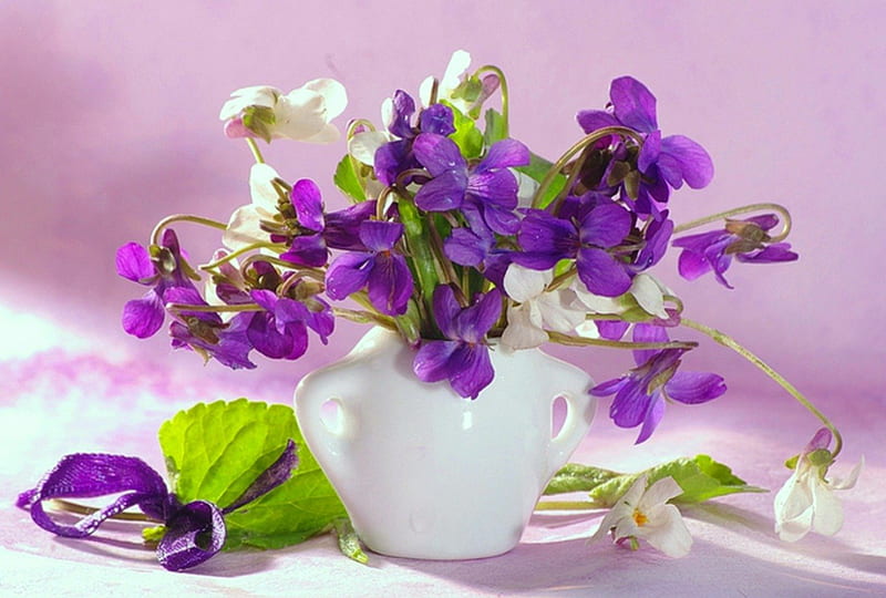 Violets for Purple Haze, violets, colors, vase, bonito, soft, spring, small, delicate, freshness, still life, purple, flowers, beauty, nature, white, HD wallpaper