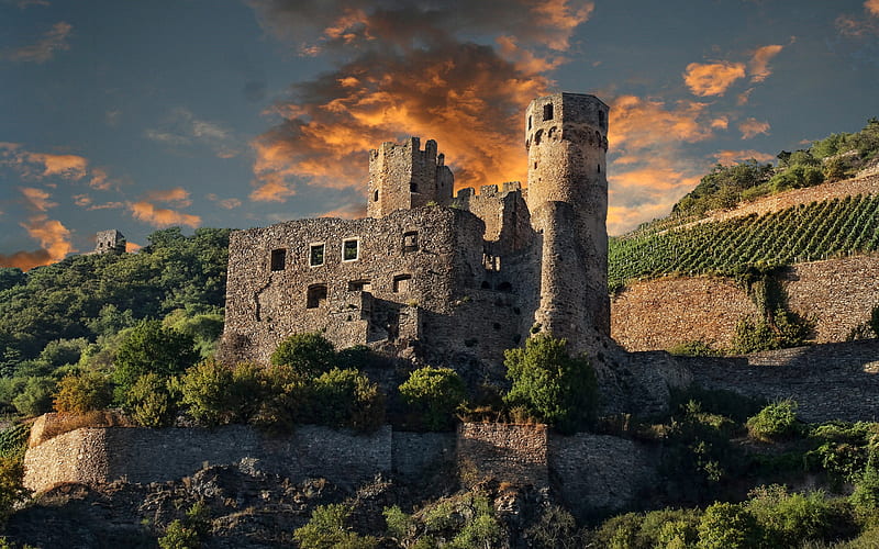 Ehrenfels Castle, Hesse, Medieval castle, castle ruins, old castle, Germany, HD wallpaper