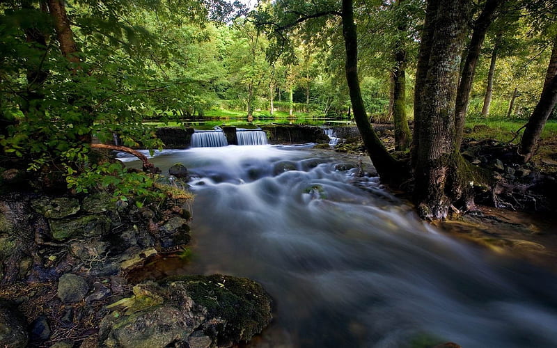 reserve park river falls-Landscape, HD wallpaper