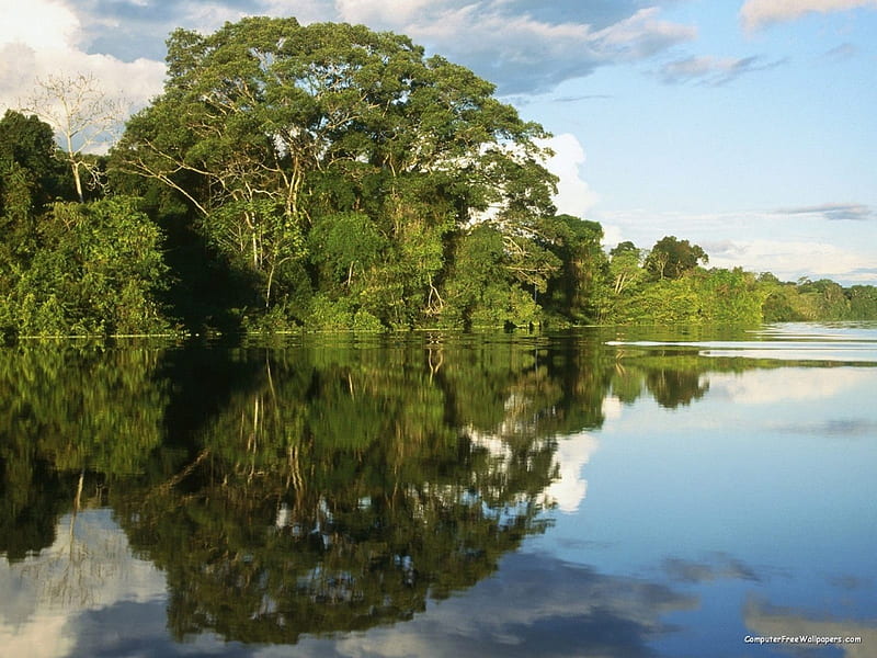 Pacaya Samiria National Peserve Amazonia Peru, beauty, nature, landscape, HD wallpaper