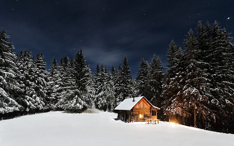 Winter Postcard, Trees, Cabins, Snow, Nature, Winter, HD wallpaper