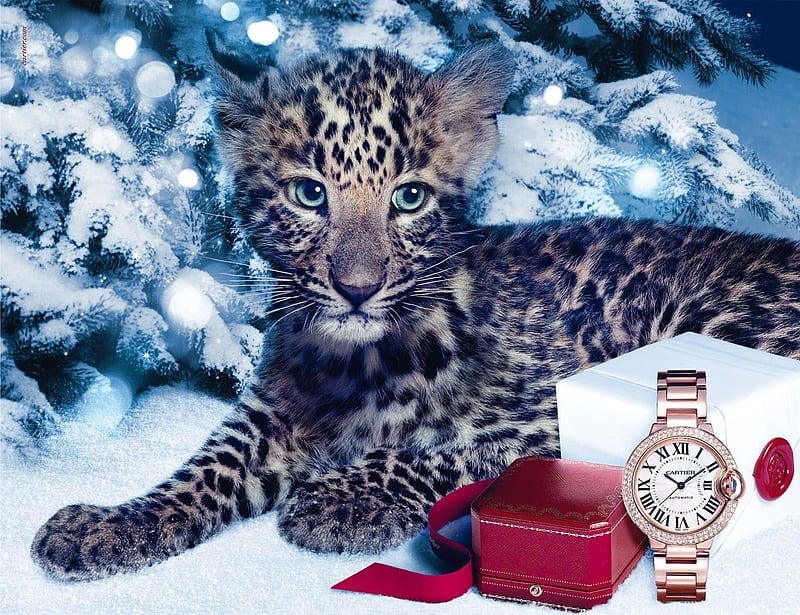 jewel jaguar pisici cat iarna winter advertise add watch