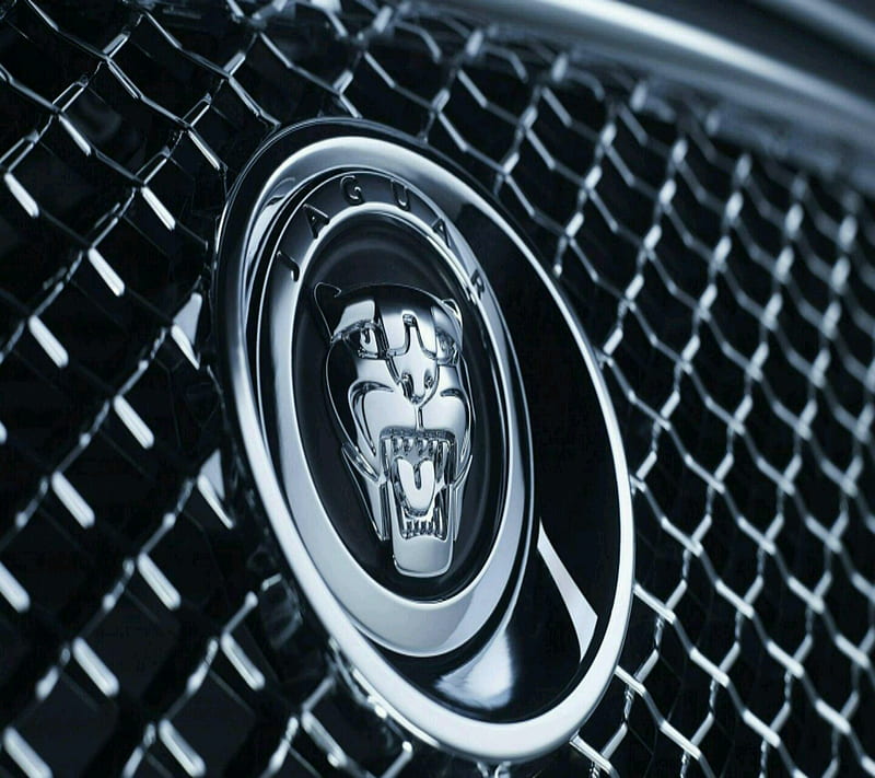 Jaguar simbol, carros, HD wallpaper | Peakpx