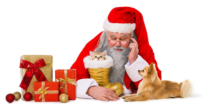 Merry Christmas!, craciun, christmas, gift, cat, animal, old man, hat, cute, pet, santa, kitten, pisica, puppy, dog, HD wallpaper