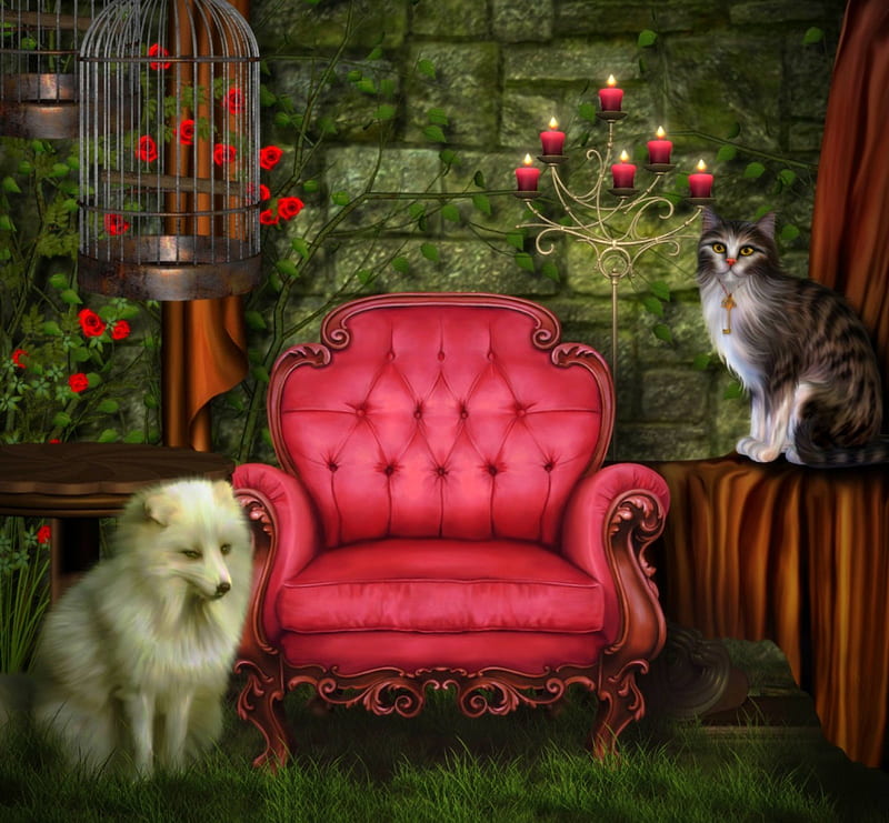 ✼Pink Couch✼, pretty, grass, premade BG, candlelight, curtain, attractions in dreams, bonito, adorable, stock , pink couch, couch, flowers, bird cages, animals, dog, cages, pink candles, lovely, love four seasons, creative pre-made, drape, roses, candles, cute, cage, fox, plants, cats, kitten, HD wallpaper