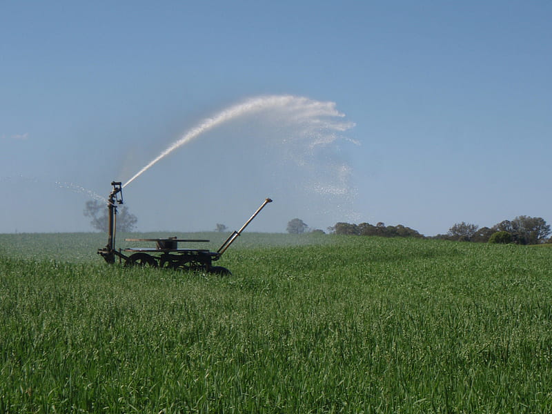 Irrigation sprinkler, on a lucerne field, graphy, paddock, irrigation sprinkler, field, meadow, HD wallpaper
