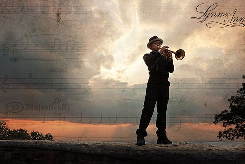 trumpet, man, graphy, music, HD wallpaper