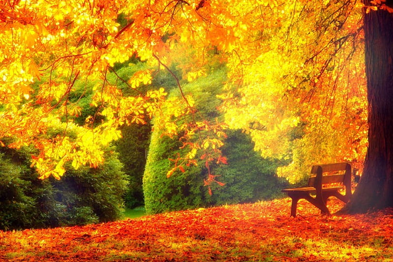 ★Brighten Fall★, fall, stunning, bench, colors, love four seasons ...
