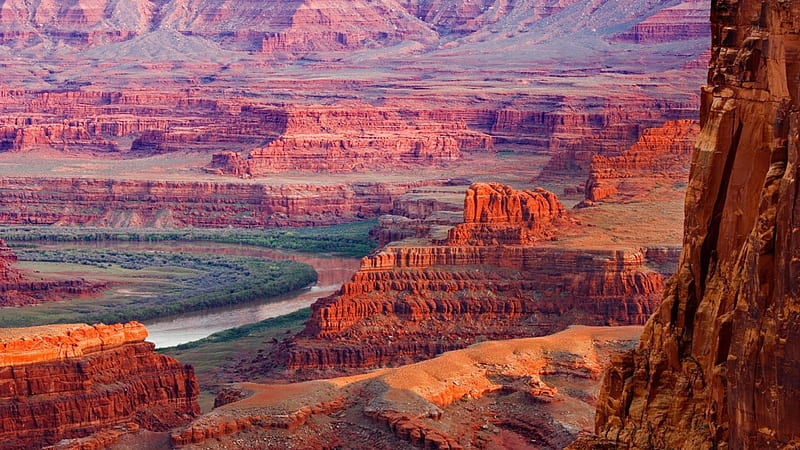 river in red canyon, river, cliffs, bushes, canyon, HD wallpaper