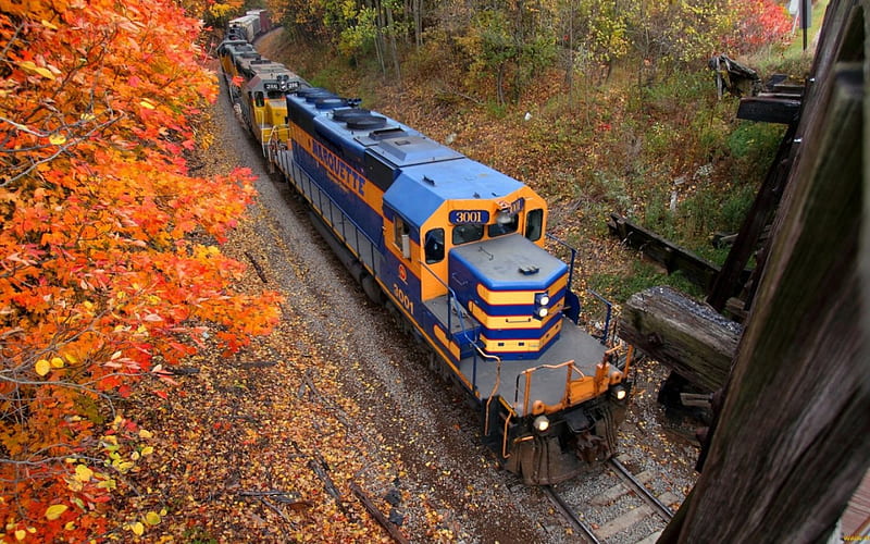 Train, Fall, Tree, graphy, Railway, Autumn, HD wallpaper