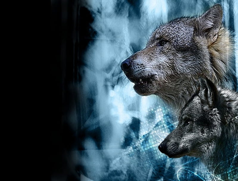 Ghost Wolves, predator, fantastic, nebulous, wolf, potrait, HD wallpaper