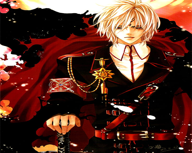 The King of Sword, king, male, half prince, sword, cherry blossom, HD wallpaper