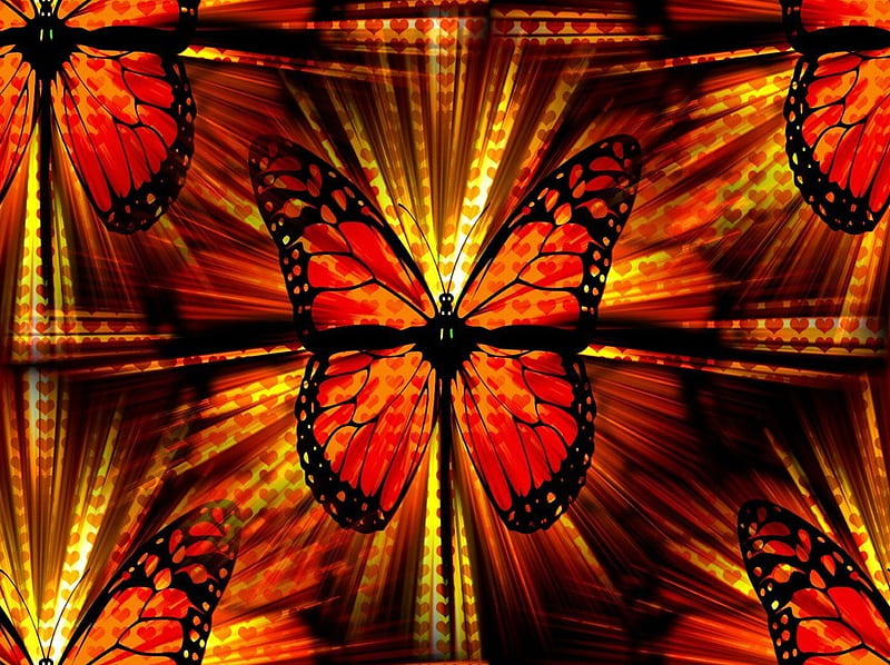 Butterfly Collage, nature, collage, butterfly, anstract, HD wallpaper
