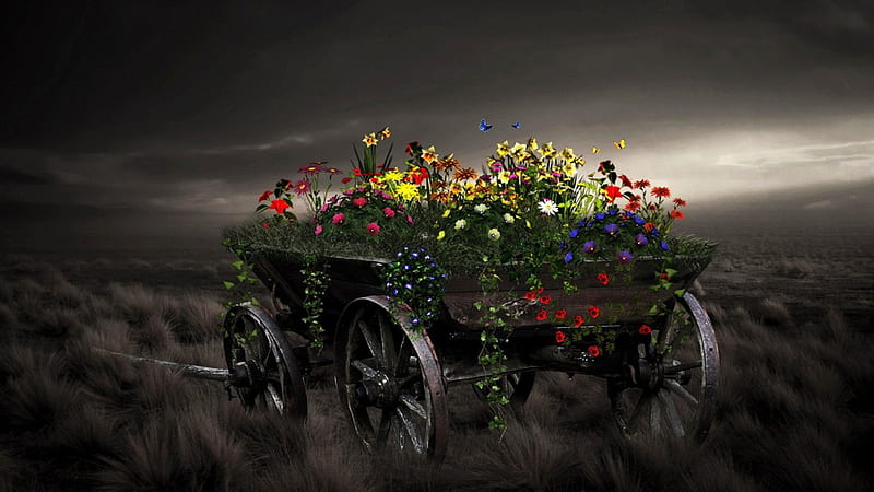 Flower Cart, wagon, cart, flowers, nature, drygrass, HD wallpaper