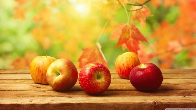 Fall apples, apple, fall, autumn, food, fruits abstract, leaf, still life, leaves, graphy, HD wallpaper