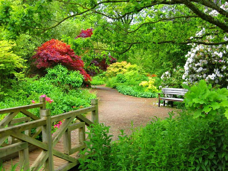 Wisley woodland, pretty, bonito, nice, bridge, rest, lovely, greenery, bench, spring, park, trees, paradise, summer, blossoms, garden, flowering, walk, woodland, HD wallpaper