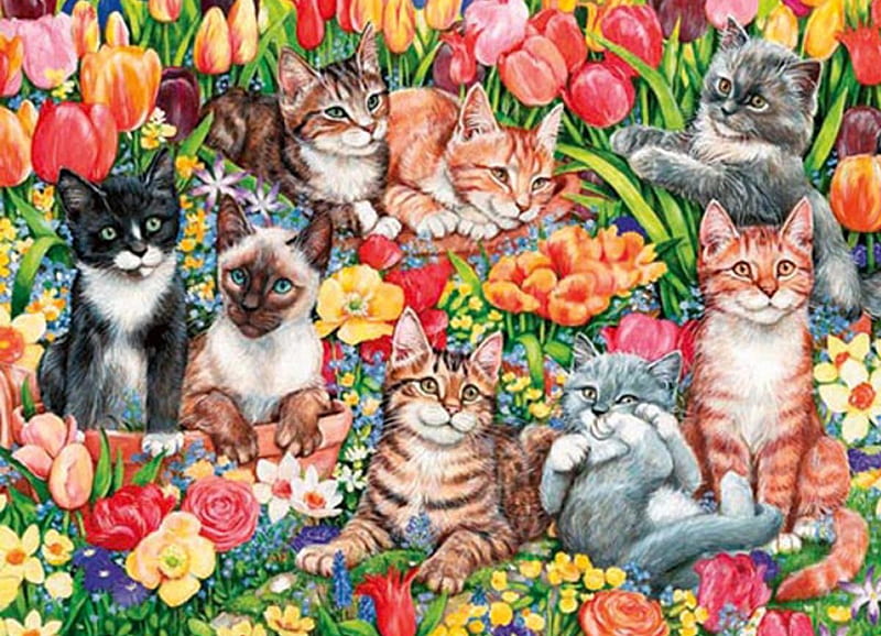 Garden Cats, flowers, Garden, spring, Cats, HD wallpaper | Peakpx