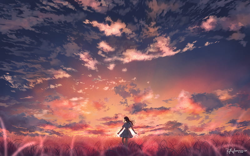 anime sunset, anime girl, orange sky, field, Anime, HD wallpaper