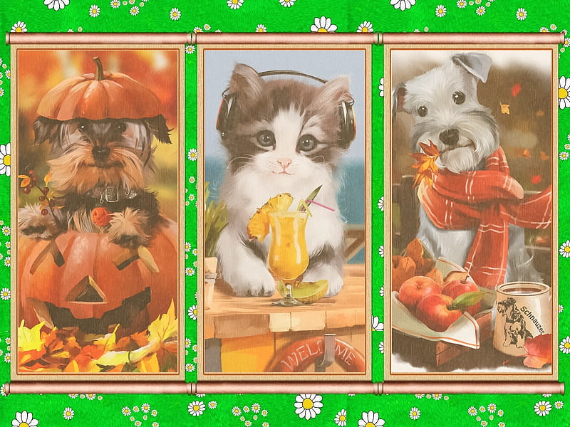 Yorkie,Tammy and Schnauzer, pineapple, autumn, halloween, apples, headphones, collage, cat, leaves, pumpkin, scarf, dogs, HD wallpaper