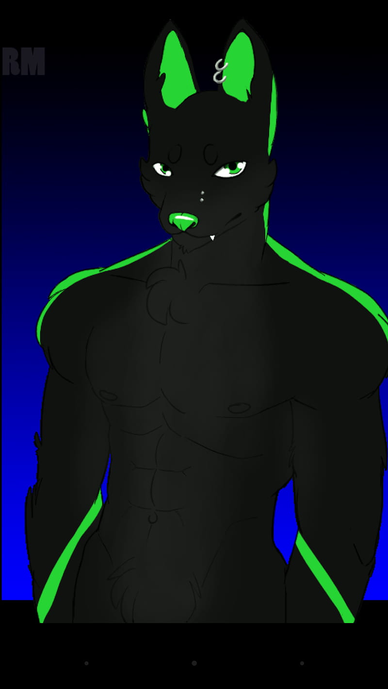 Furry Wolf, black, blue, dark, fur, furries, green, HD mobile wallpaper