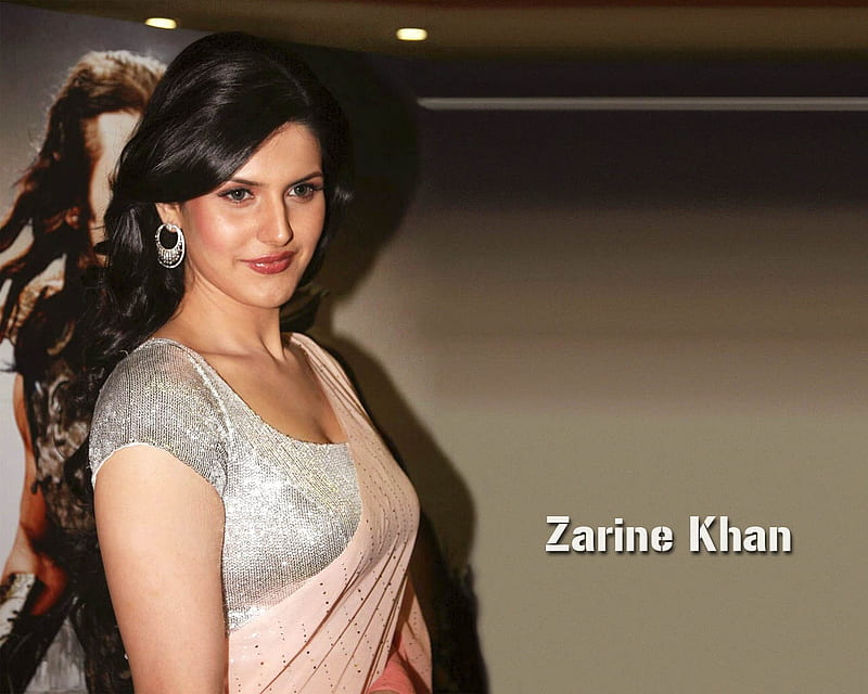 Zarine Khan, hot, bollywood, sexy, HD wallpaper | Peakpx