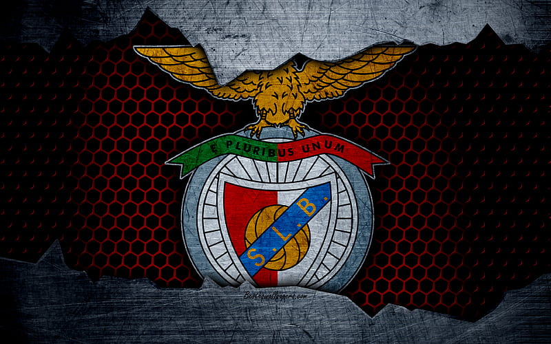 Benfica Fc : Flag Football Club Benfica Portugal Editorial Image