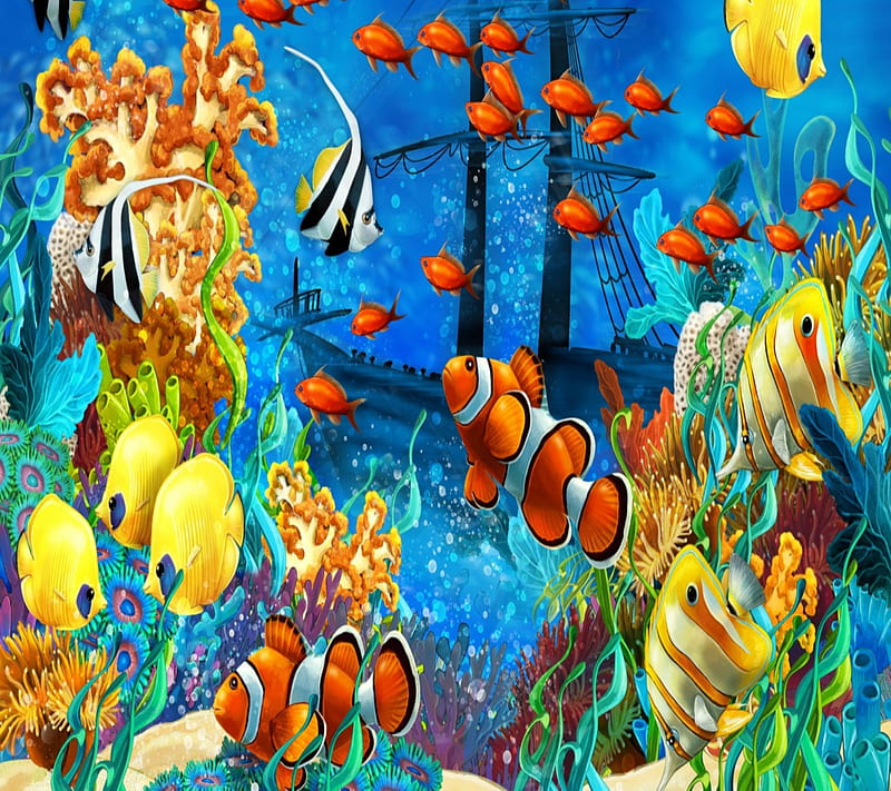 tropical aquarium, animal, color, fish, nature, new, nice, tank, HD wallpaper