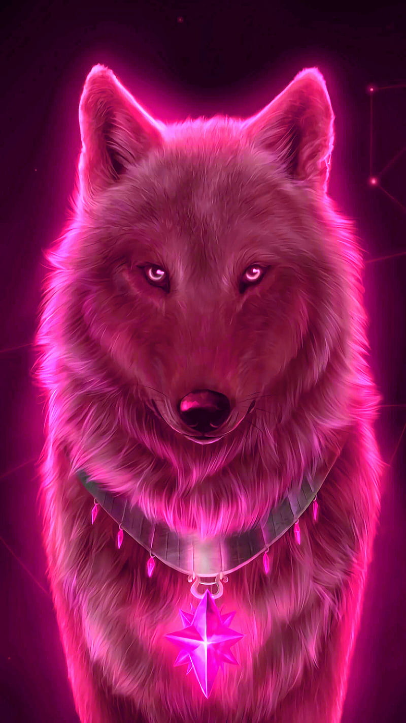 Red wolf, animal, cute, drawings, star, HD phone wallpaper