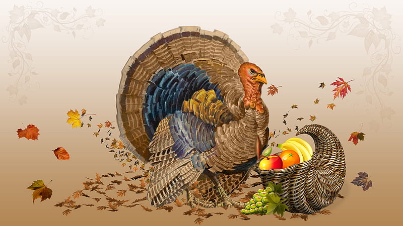 Turkey Painting With Fruits Thanksgiving, HD wallpaper