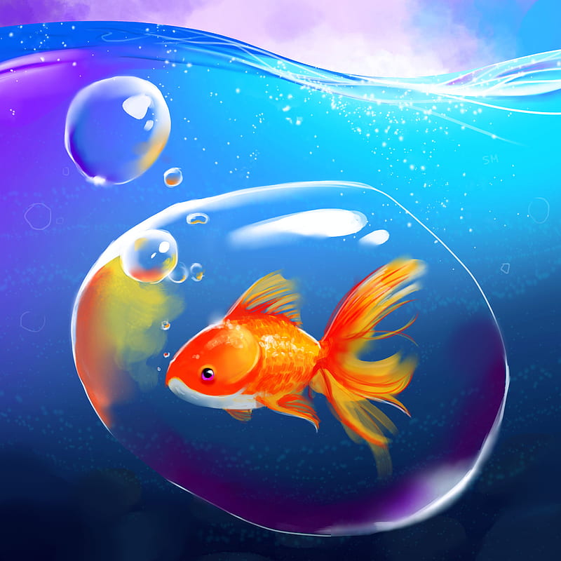 Goldfish, Shellz-art, animal, anime, baby, bubble, chibi, creature, cute,  fish, HD phone wallpaper | Peakpx