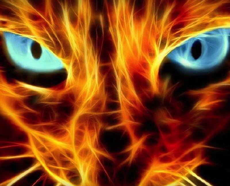 Fire Cat, kat, kitty, HD wallpaper