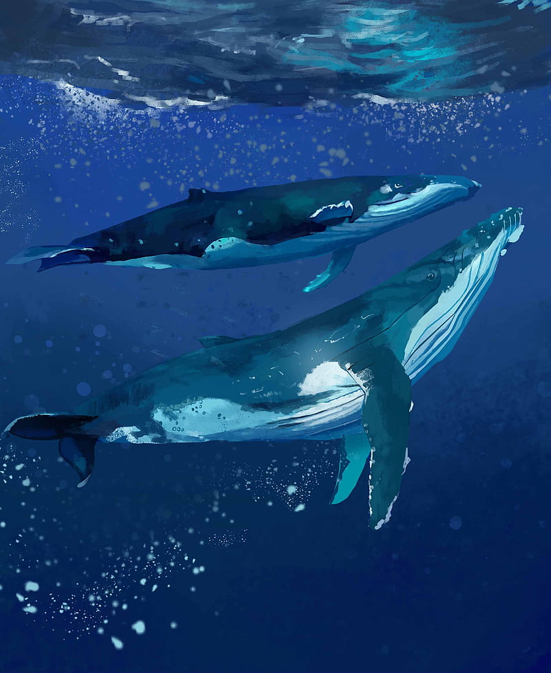 whales, water, underwater, sea, art, HD phone wallpaper