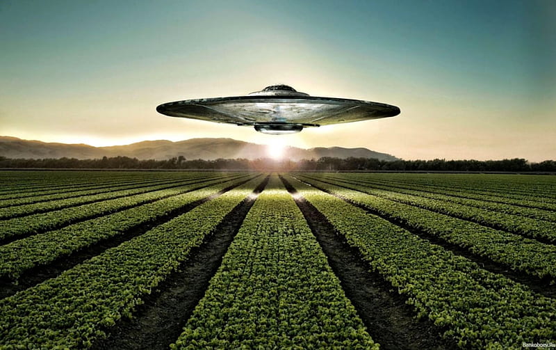UFO, Spaceship, Flying Saucer, Alien, HD wallpaper