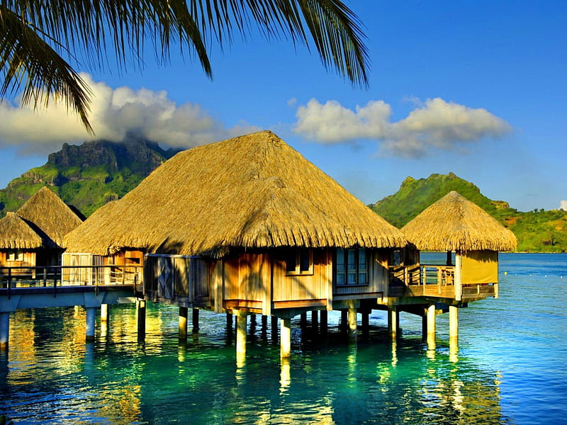 Bora Bora, pretty, resort, cottage, travel, sunny, cabin, bonito, clouds, sea, beach, nice, royal, destination, reflection, hotel, rest, huts, vacation, exotic, lovely, holiday, ocean, place, emerald, sky, palms, water, summer, island, relaxing, HD wallpaper