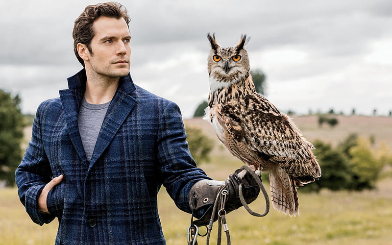 Henry Cavill, English actor, hoot, man with bird, eagle owl, blue English jacket, HD wallpaper