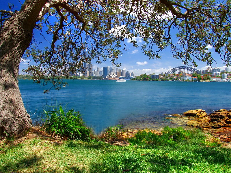 SYDNEY HARBOUR FROM MOSMAN, boat, harbour, trees, grass, HD wallpaper