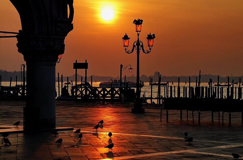 Piazza San Marco, Venice, sun, lamps, sky, seagulls, sea, italy, HD wallpaper