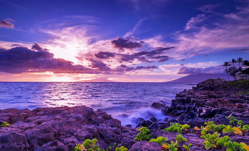 Purple sea sunset, purple, ocean, sunset, reflection, sky, sea, coast, rocks, clouds, beach, HD wallpaper