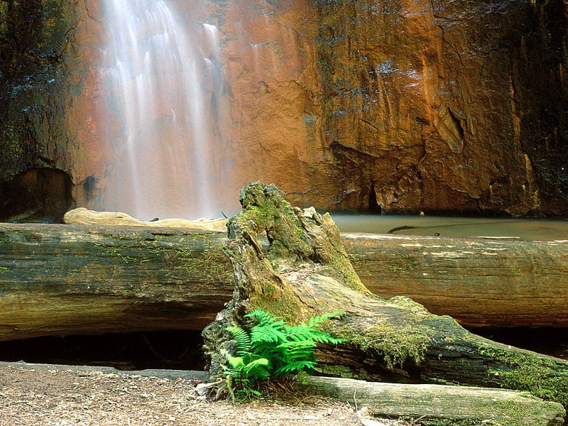 Berry Creeck Falls, Big Basin RedWoods - State Park, waterfalls, HD wallpaper