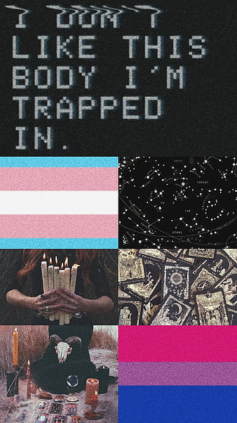 Transgender Pride, aesthetic, bi, bisexual, cute, gay, happy, lgbtq, love, trans, HD phone wallpaper