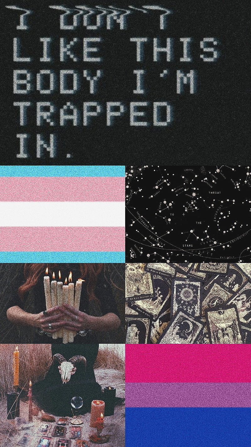 Transgender Pride, aesthetic, bi, bisexual, cute, gay, happy, lgbtq, love, trans, HD phone wallpaper