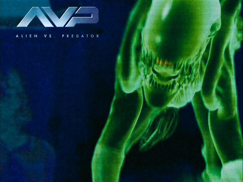 AVP, predator, scifi, alien, movie, HD wallpaper