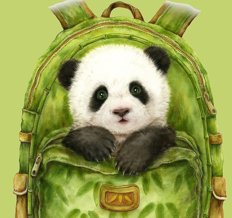 Panda, bag, bear, art, green, cute, kayoni harai, paw, HD wallpaper
