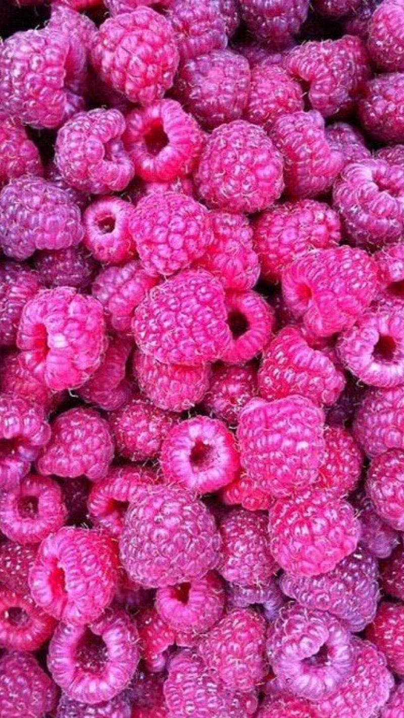 Pink Colour Rasberry, pink colour, rasberry, HD phone wallpaper