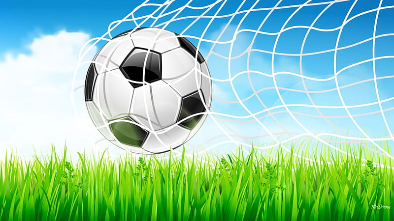 G O A L, soccer, grass, goal, fun, sky, clouds, play, ball, sport, net, football, score, HD wallpaper