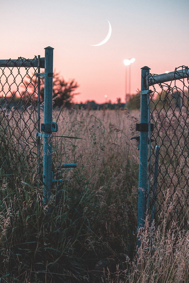 fence, sunset, moon, grass, mesh, HD phone wallpaper