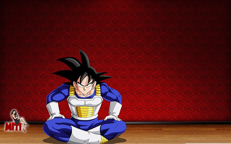 Goku in room-Cartoon characters, HD wallpaper | Peakpx