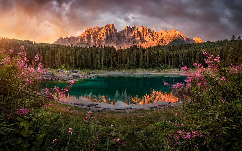 Сarezza lake, Mount Latemar, mountain lake, mountains, evening, forest, pink flowers, Dolomites, sunset, Italy, Bolzano, HD wallpaper