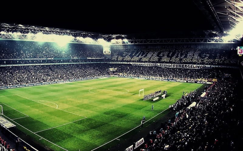 Sukru Saracoglu Stadium, match, Fenerbahce Stadium, football, soccer, Istanbul, Turkey, HD wallpaper
